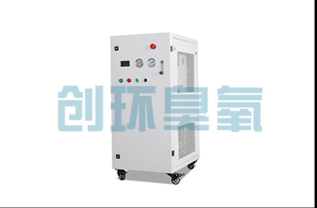 延边朝鲜族工厂化养鲈必看:2026年臭氧发生器替代传统消毒的最新方案