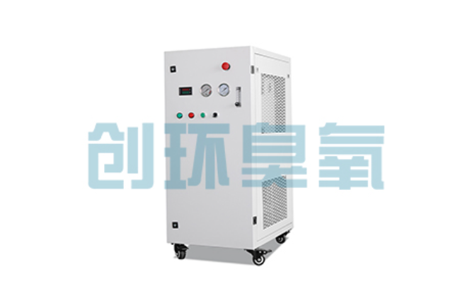 延边朝鲜族比传统换水更高效?臭氧发生器在石斑鱼养殖中的水质净化原理解析